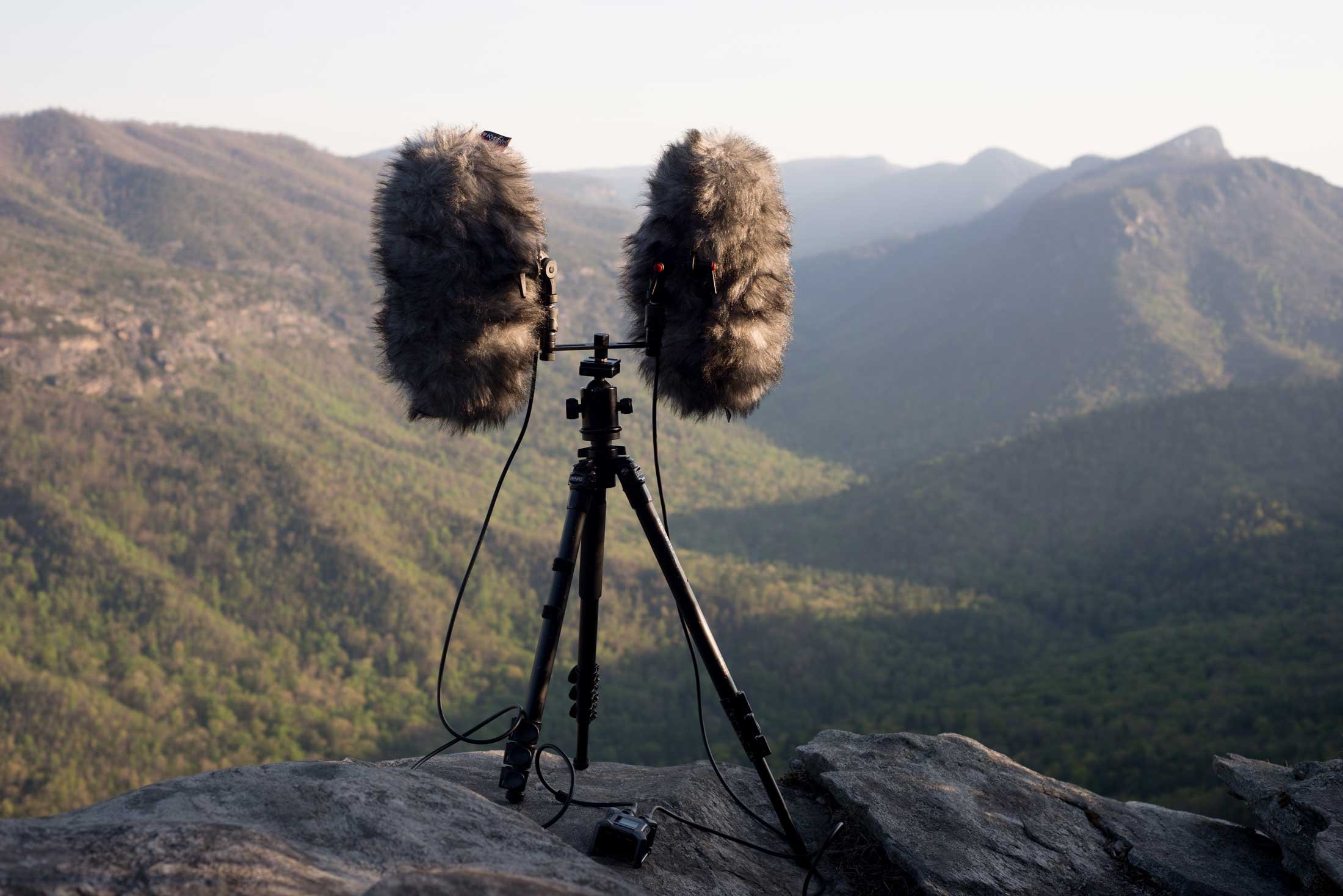 Field recording equipment and environment